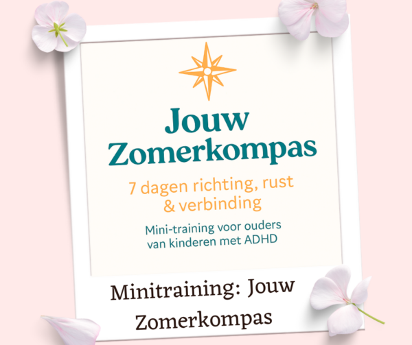 Minitraining: Jouw zomerkompas